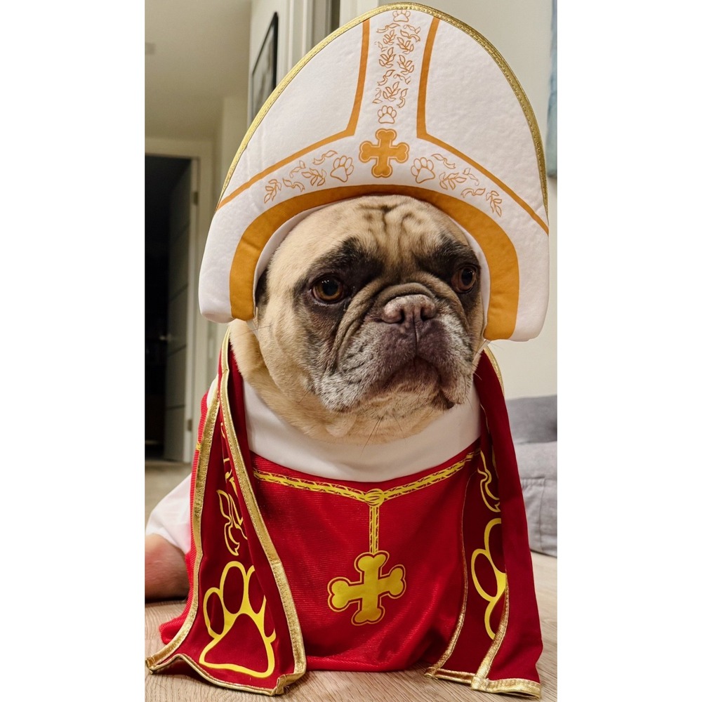 California Costumes Holy Hound Pope Dog Costume Large L Impawsters PET20127